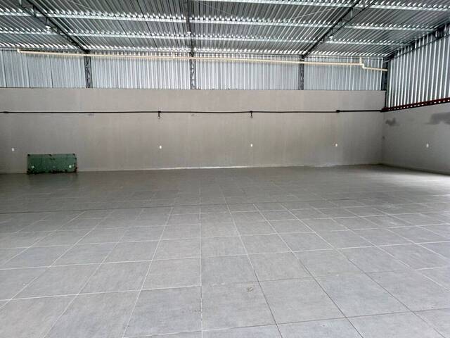 Galpão para Locação em Camboriú - 5